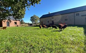Siedlisko Biale Blota